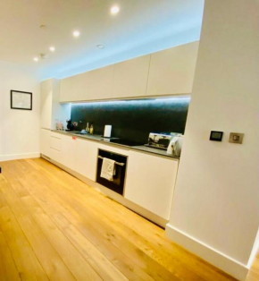 Luxury Spacious Apartment